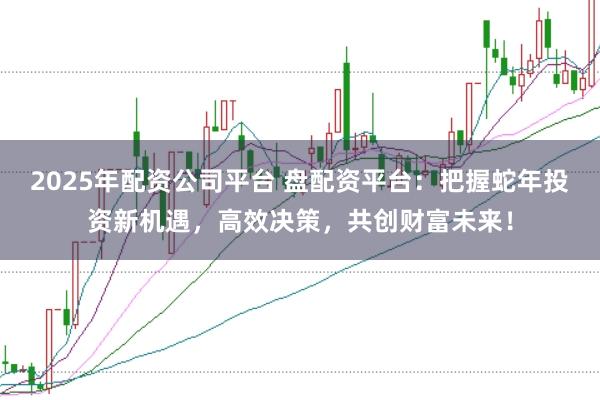 2025年配资公司平台 盘配资平台：把握蛇年投资新机遇，高效决策，共创财富未来！
