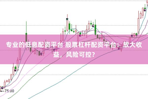 专业的低息配资平台 股票杠杆配资平台：放大收益，风险可控？