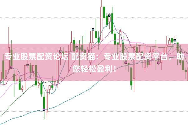 专业股票配资论坛 配资猫：专业股票配资平台，助您轻松盈利！
