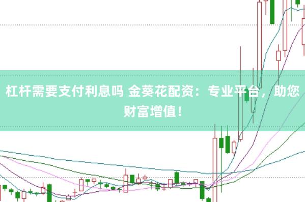 杠杆需要支付利息吗 金葵花配资：专业平台，助您财富增值！