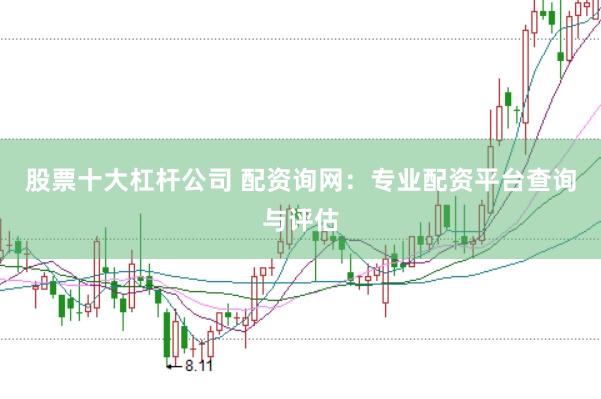 股票十大杠杆公司 配资询网：专业配资平台查询与评估