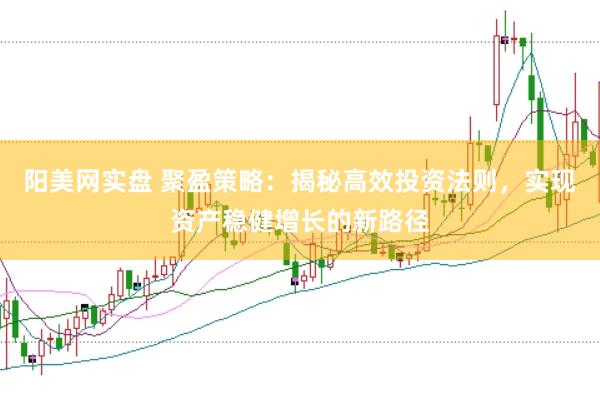 阳美网实盘 聚盈策略：揭秘高效投资法则，实现资产稳健增长的新路径