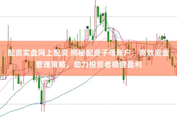 配资实盘网上配资 揭秘配资子母账户：高效资金管理策略，助力投资者稳健盈利