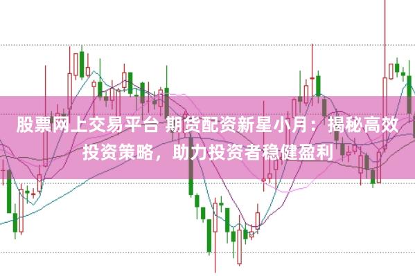 股票网上交易平台 期货配资新星小月：揭秘高效投资策略，助力投资者稳健盈利