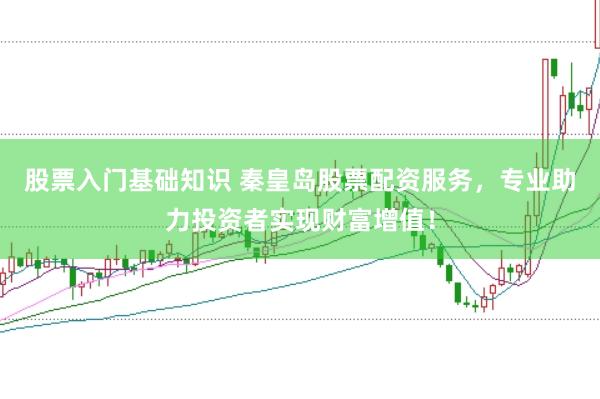 股票入门基础知识 秦皇岛股票配资服务,专业助力投资者实现财富增值!