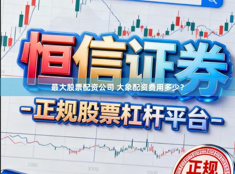 最大股票配资公司 大象配资费用多少？